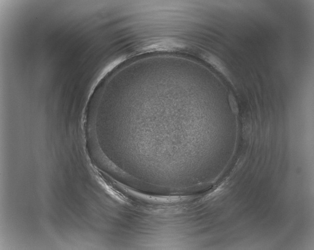 X0000064771026200602101243