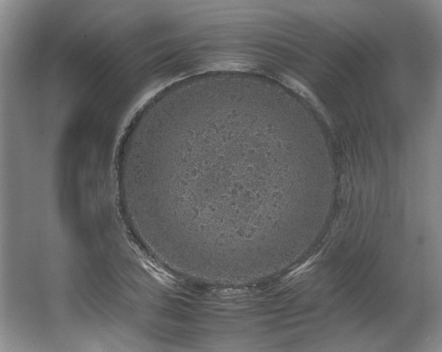 X0000064771027200602101243