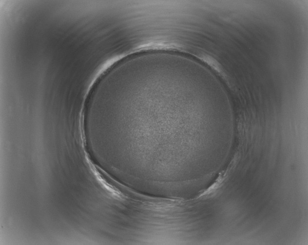 X0000064771030200602101244