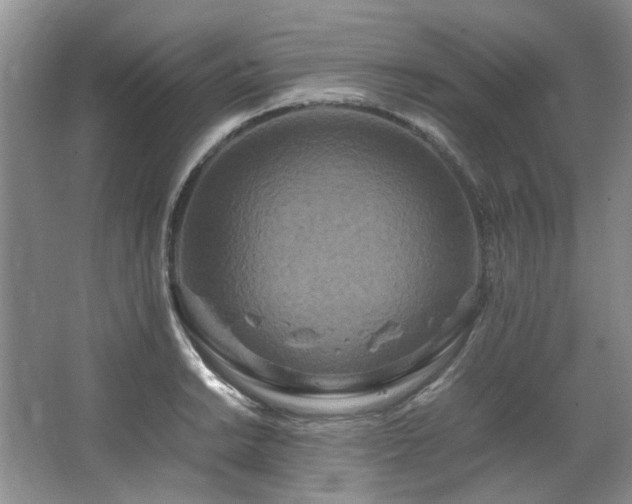 X0000064771038200602101244