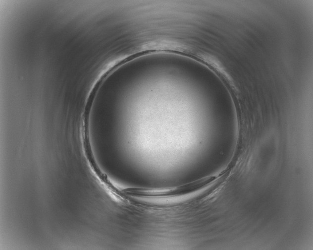 X0000064771040200602101244