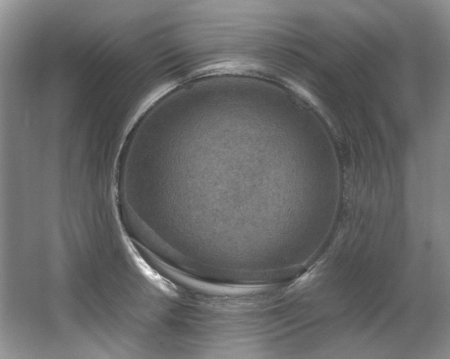 X0000064771042200602101244