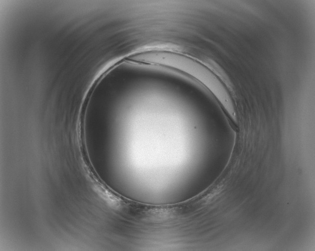 X0000064771044200602101244
