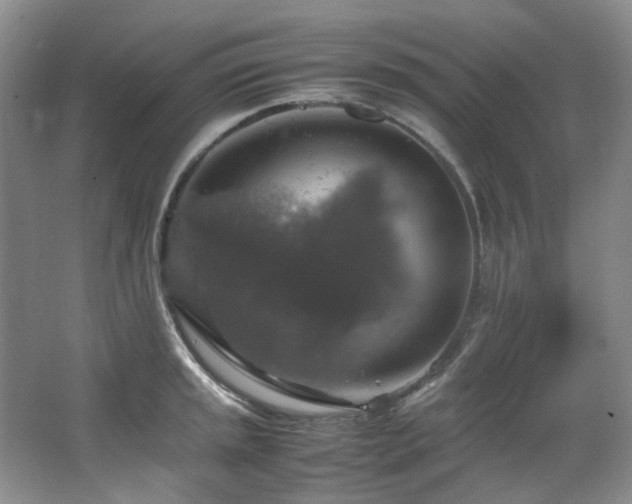 X0000064771045200602101244