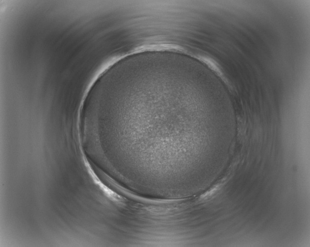 X0000064771046200602101244