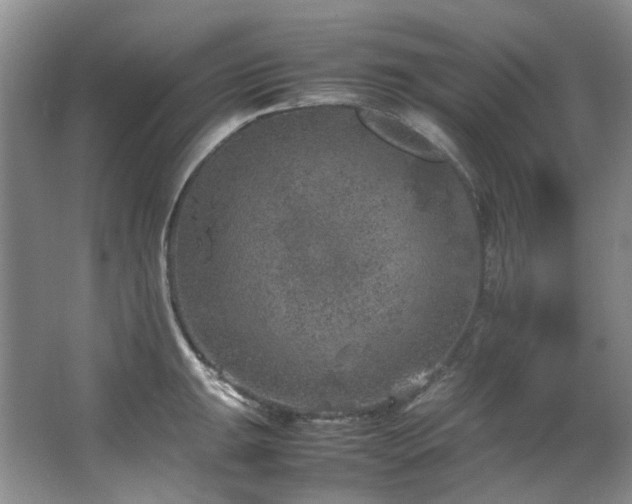 X0000064771047200602101244