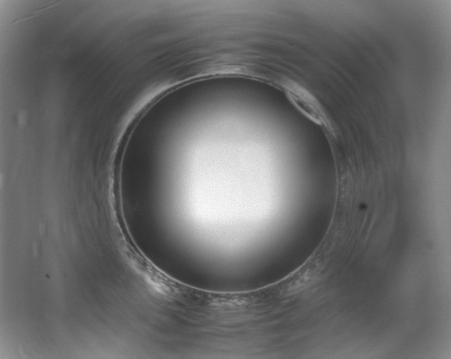X0000064771051200602101244