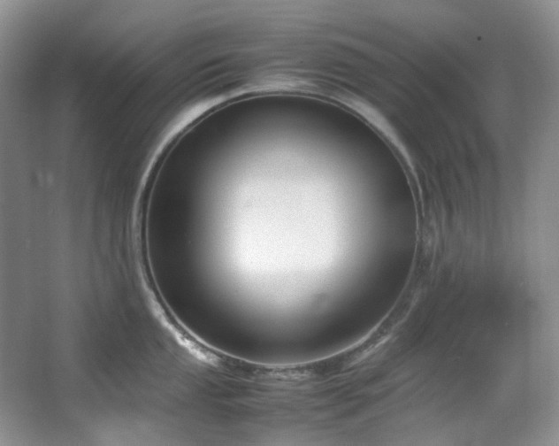 X0000064771053200602101244