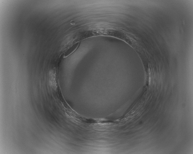 X0000064771060200602101243