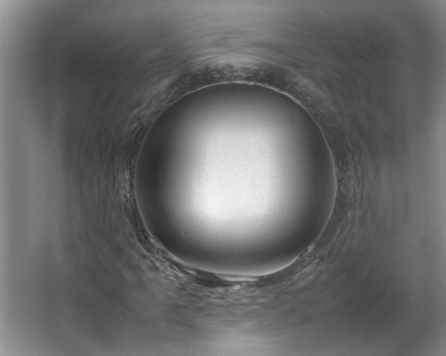X0000064771061200602101243