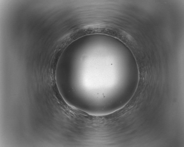 X0000064771062200602101243