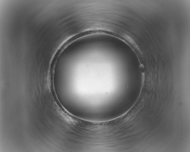 X0000064771076200602101243
