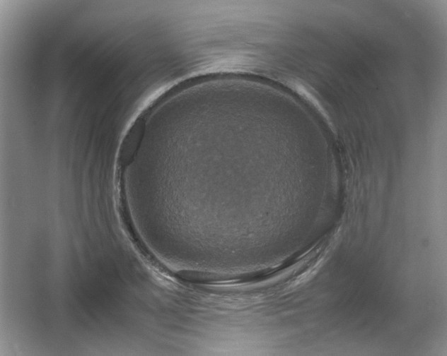 X0000064771077200602101243