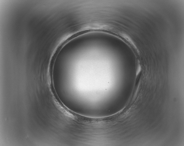 X0000064771080200602101243