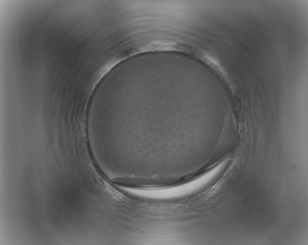 X0000064771081200602101243