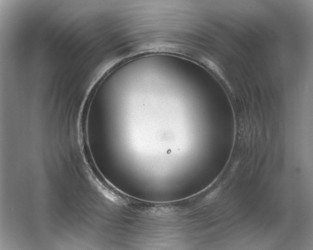 X0000064771082200602101243