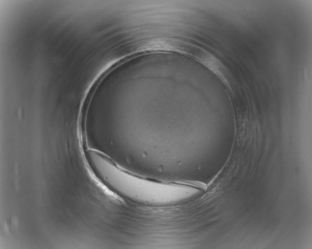 X0000064771084200602101243