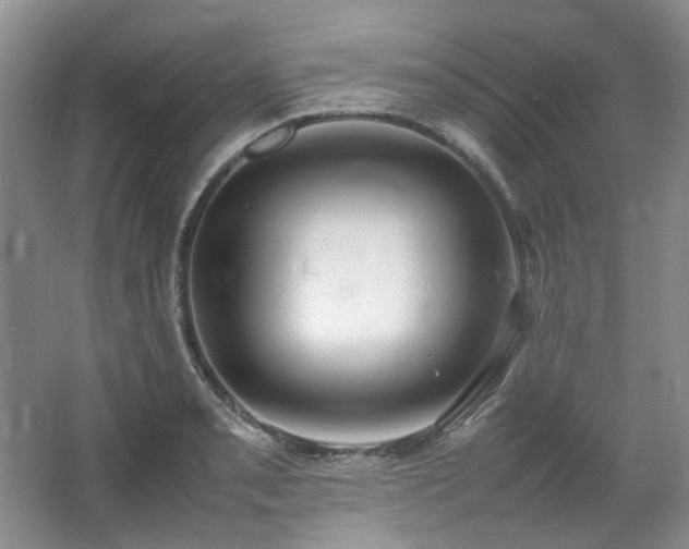 X0000064771085200602101243