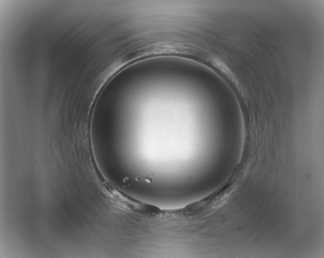 X0000064771089200602101243