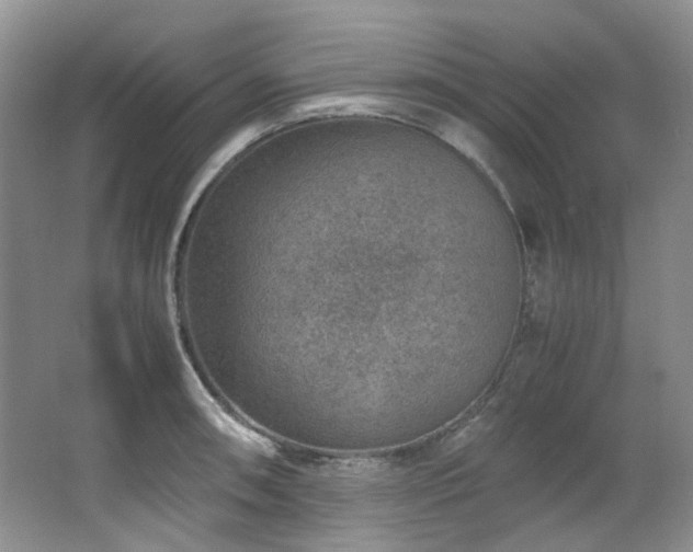 X0000064771090200602101243