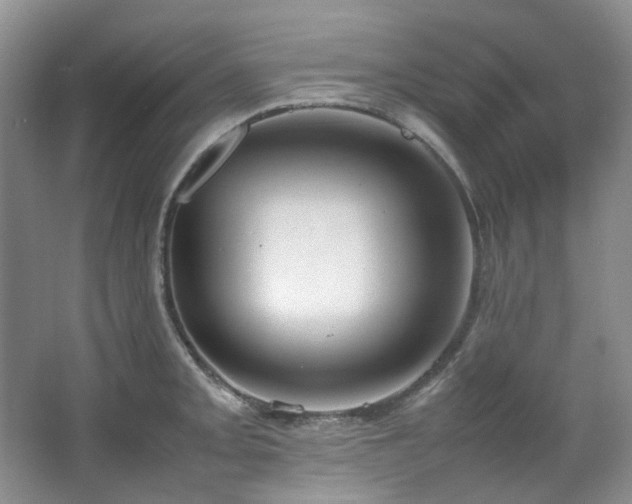 X0000064771093200602101243