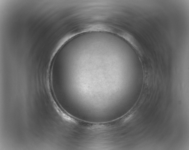X0000064771094200602101243