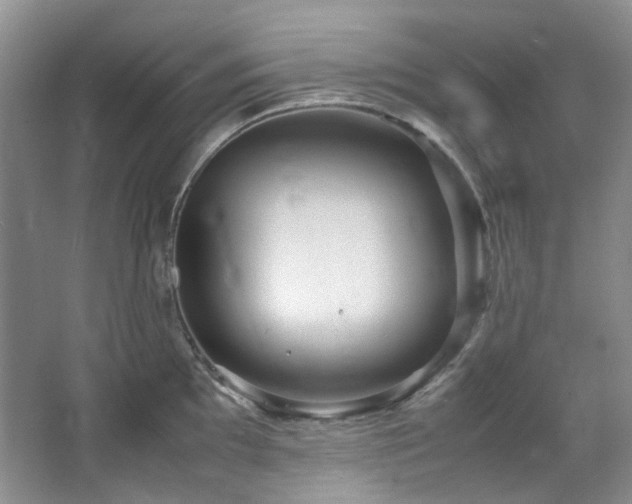X0000064771097200602101242