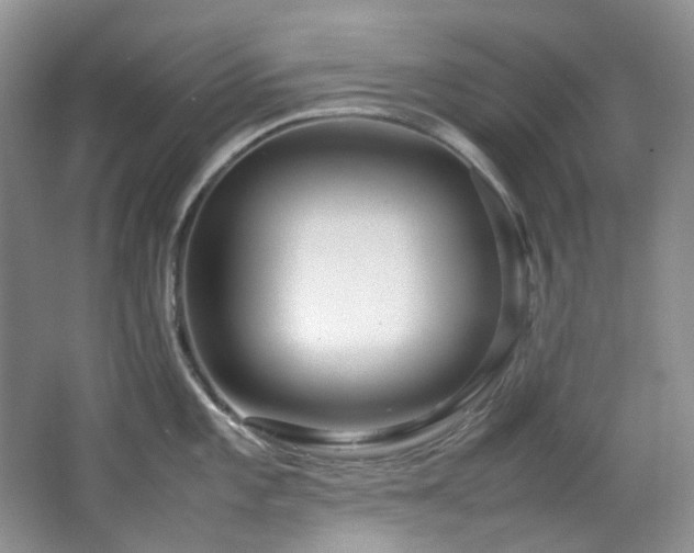 X0000064771101200602101242