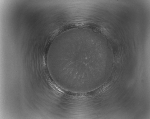 X0000064771106200602101242