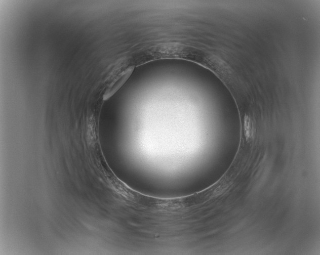 X0000064771107200602101242