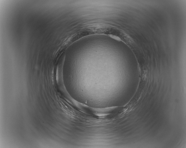 X0000064771108200602101242