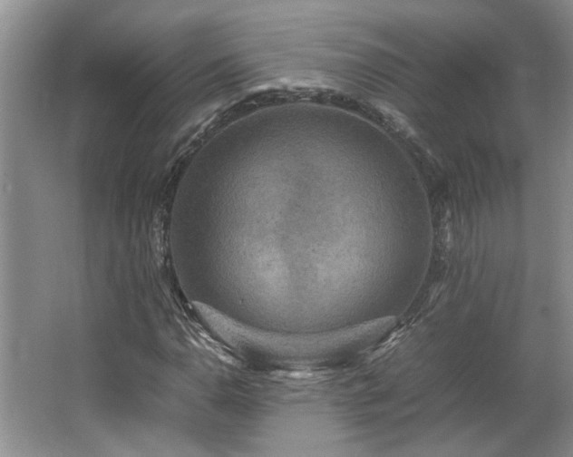 X0000064771110200602101242