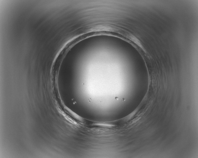 X0000064771116200602101242