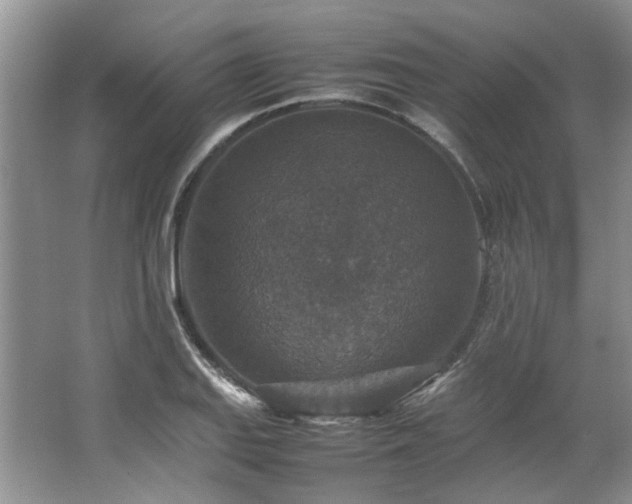X0000064771127200602101242