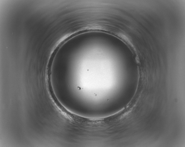 X0000064771133200602101242