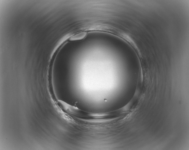 X0000064771138200602101242