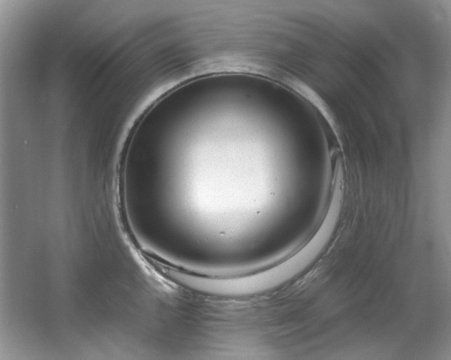 X0000064771144200602101242