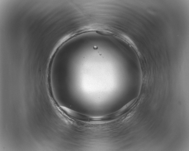 X0000064771146200602101242