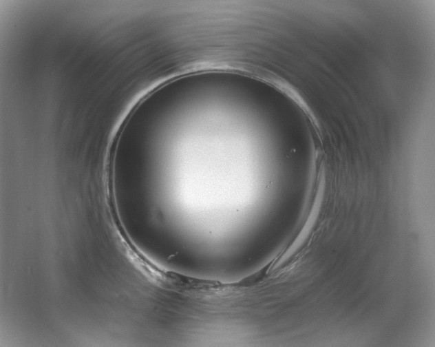 X0000064771148200602101242