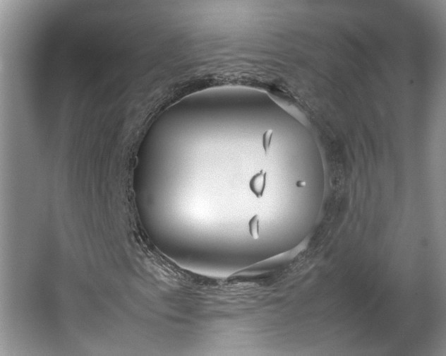 X0000064771153200602101242