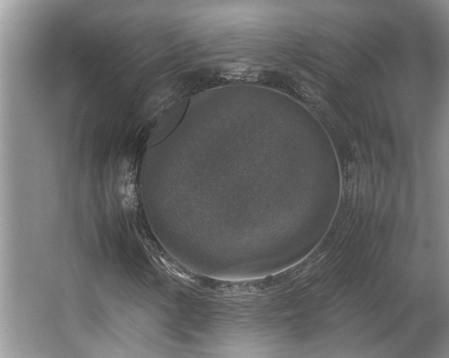 X0000064771154200602101242