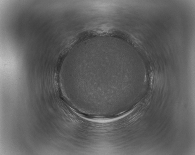X0000064771156200602101242