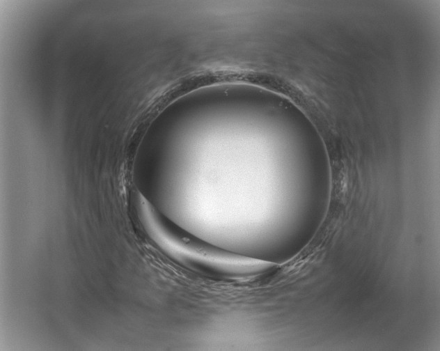 X0000064771157200602101241