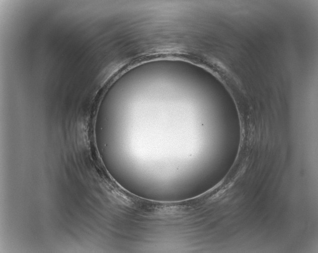 X0000064771162200602101241