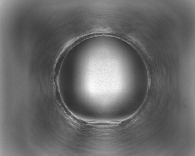 X0000064771168200602101241