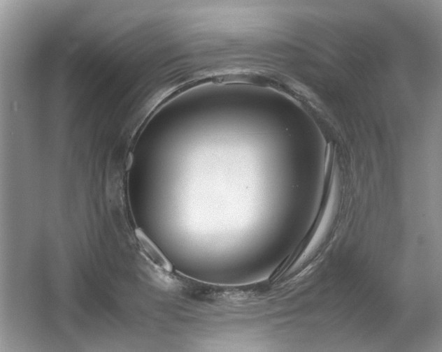 X0000064771177200602101241