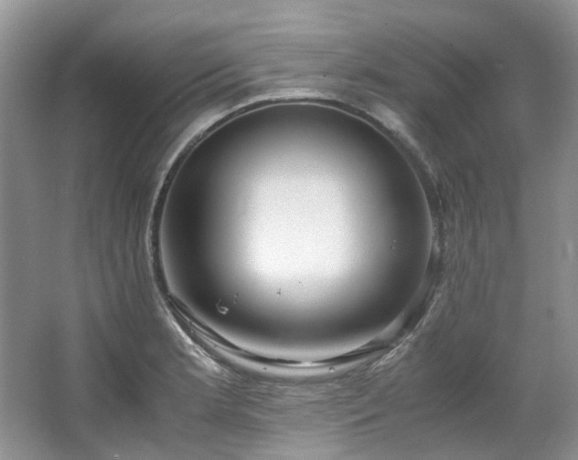 X0000064771181200602101241