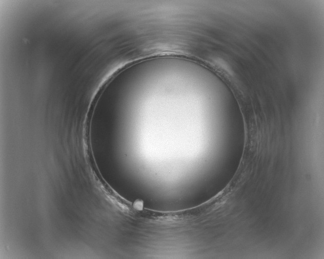 X0000064771182200602101241