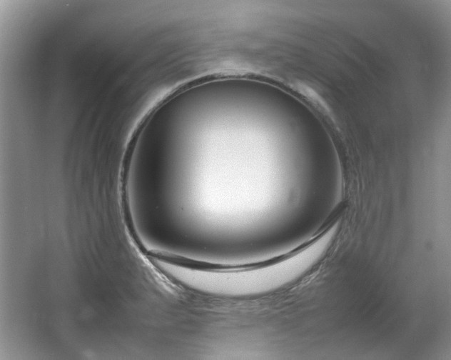 X0000064771183200602101241