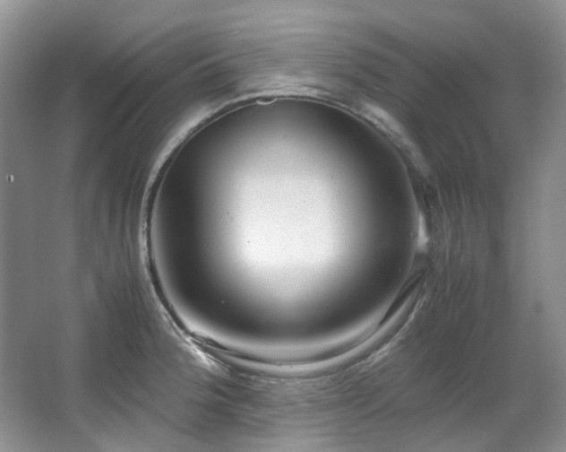 X0000064771188200602101241